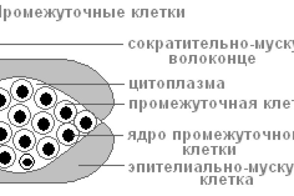 Как оплатить заказ в кракене