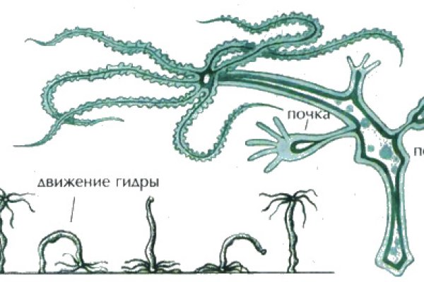 Кракен действующая ссылка