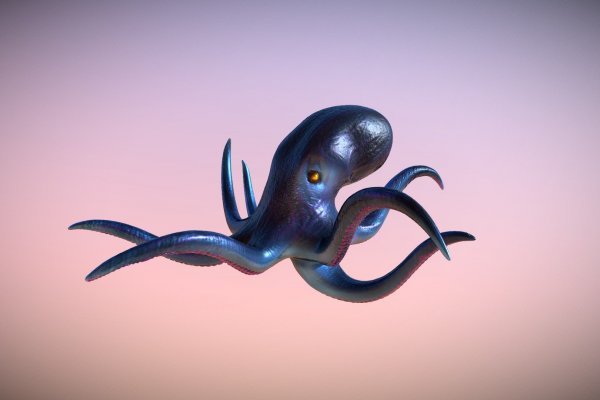 Kraken вывод денег