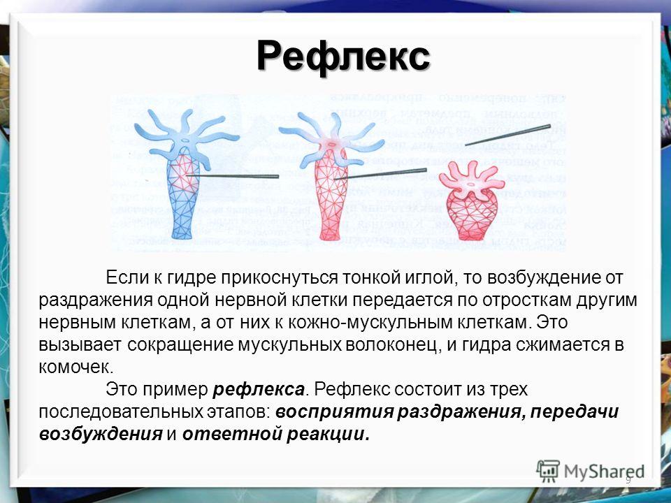 Взломали кракен аунтификатор